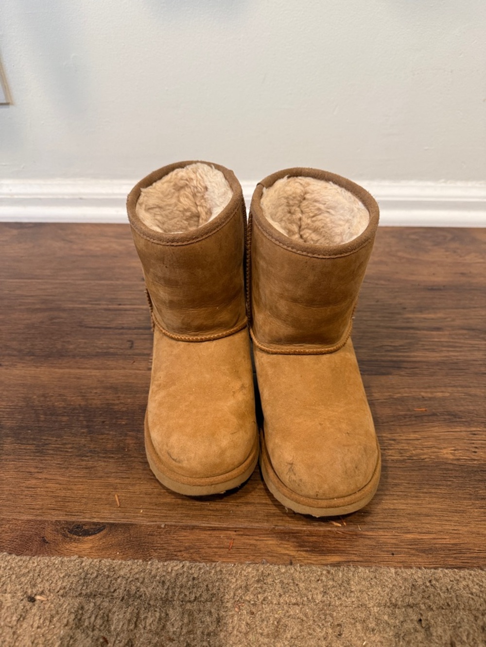 Kids UGG Classic Shearling-Lined Boot in Chestnut